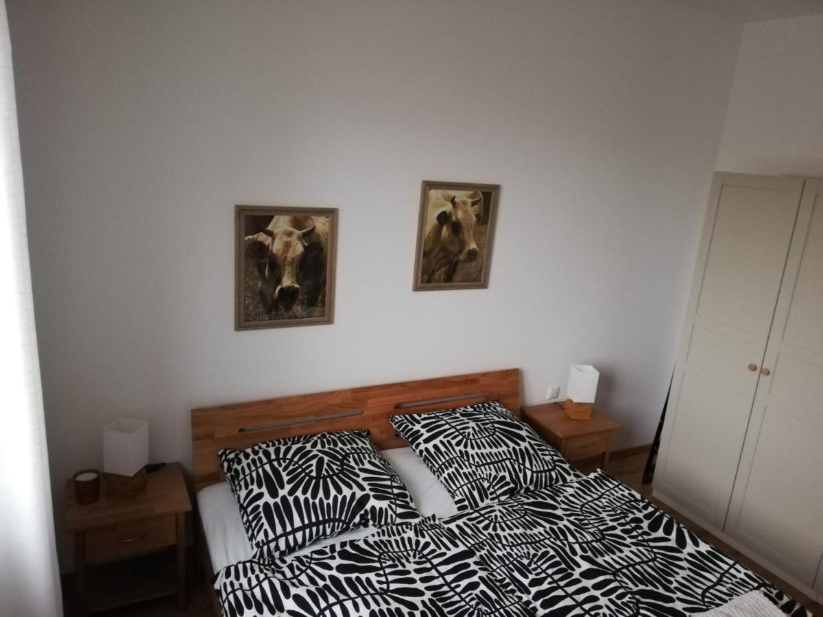 Ferienwohnungen Frank Segnitz Dış mekan fotoğraf